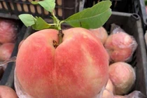 Hãi hùng 4 loại quả khó rửa sạch, đầy độc tố, ký sinh trùng