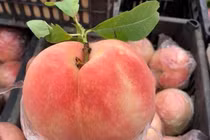 Hãi hùng 4 loại quả khó rửa sạch, đầy độc tố, ký sinh trùng