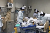 Cô gái trẻ ăn chay trường kỳ và cái kết đáng sợ