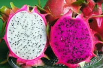 Thanh long đỏ và trắng khác gì nhau? Không biết thì đừng mua