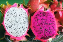 Thanh long đỏ và trắng khác gì nhau? Không biết thì đừng mua