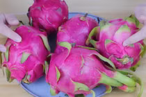 Thấy 3 loại thanh long này, rẻ đến mấy cũng đừng mua vì...