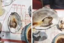 Khách ăn hàu sống thấy giun này, chủ quán nói...bổ hơn hàu 