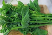 Loại rau rẻ tiền lại giúp giải độc, phụ nữ càng ăn càng trẻ