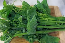 Loại rau rẻ tiền lại giúp giải độc, phụ nữ càng ăn càng trẻ