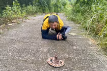 Leo núi gặp ngay “rắn thần”, chuyên gia vội vàng quỳ sụp 