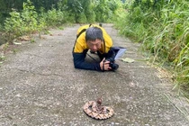 Leo núi gặp ngay “rắn thần”, chuyên gia vội vàng quỳ sụp 