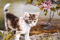 Tuần mới (20/2 - 26/2/2023): 3 con giáp phúc khí tràn trề, muốn nghèo cũng khó 