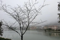 Thời tiết hôm nay: Bắc Bộ và Bắc Trung Bộ mưa rét, rét đậm