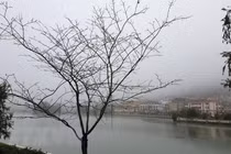 Thời tiết hôm nay: Bắc Bộ và Bắc Trung Bộ mưa rét, rét đậm