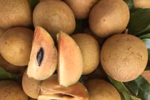 Hồng xiêm đang vào mùa, đừng mua khi thấy những dấu hiệu này