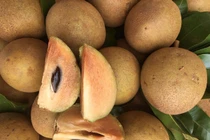 Hồng xiêm đang vào mùa, đừng mua khi thấy những dấu hiệu này