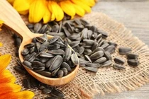 Loại hạt hướng dương gây ung thư, ăn vào hối không kịp 