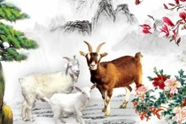 Tuần mới (9/1 - 15/1/2022): 4 con giáp nhận lộc rộn ràng, tiền tài ngập lối 