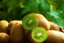 Loại trái cây tuyến tụy cực thích, ăn nhiều đẩy lui tiểu đường 