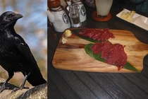 Kinh dị món sashimi thịt quạ bới rác ở Nhật Bản 