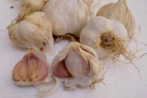 Ăn tỏi mỗi ngày phòng bệnh, người đàn ông trả giá đắt