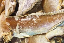 Loại cá độc hại nhiều người Việt thích ăn, ung thư tìm tới cửa