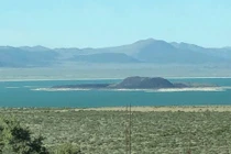 Dị không tưởng sinh vật 3 giới tính ở nơi gần như không sự sống