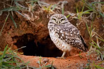 Bị chụp lén khó chịu, cú nhỏ điên tiết phá luôn máy ảnh 