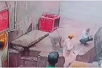 Thót tim khỉ hoang cướp rắn độc của người để ăn 