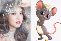 Xem vận mệnh tình duyên, sự nghiệp của 12 con giáp năm 2019