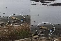 Dạo bãi biển thấy xác người, định gọi cảnh sát phát hiện "chết cười"...