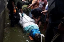 Làm thân với cá sấu 15 năm, cô gái vẫn gặp kết thảm khốc 