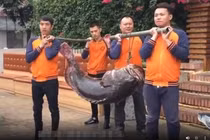 Bắt được thủy quái khổng lồ, miệng có thể nuốt gọn đầu người