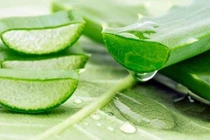 Cách tạo kiểu tóc từ các nguyên liệu dễ kiếm 