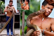 Chàng trai điều khiển rắn hổ mang "nghe răm rắp" bằng tay không