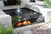 Sang năm mới, muốn đếm tiền mỏi tay chỉ cần làm những điều này