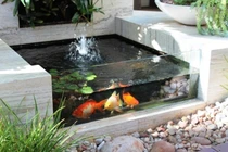 Sang năm mới, muốn đếm tiền mỏi tay chỉ cần làm những điều này