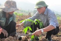 Quảng Trị: Hai nhân viên công ty bỏ trốn khi du lịch ở Hàn Quốc