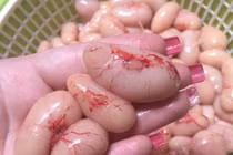 Đại gia Việt "rộ mốt" săn ngọc kê Đông Tảo tiến vua tiền triệu