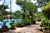 Nhà lầu 3 tầng có hồ bơi xây trên đất nông nghiệp của nữ thượng úy