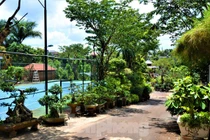 Nhà lầu 3 tầng có hồ bơi xây trên đất nông nghiệp của nữ thượng úy