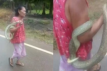 Rợn người cụ bà chơi đùa với rắn độc theo cách bất chấp nhất