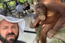 Lén chụp ảnh tự sướng với đười ươi, người đàn ông gặp quả đắng