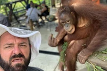 Lén chụp ảnh tự sướng với đười ươi, người đàn ông gặp quả đắng