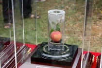 Những siêu quả đắt kinh hoàng, giá bằng cả siêu xe