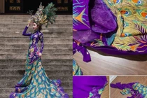 Người đẹp nào đi thi hoa hậu gặp vận "đen đủi" nhất năm 2018?