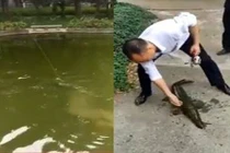 Cá Koi liên tục mất tích bí ẩn, phát hiện "quái vật" lạ lùng...