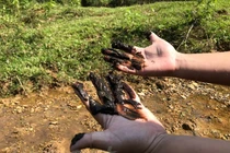 Tận mắt xem bùn thải nghi nhiễm dầu tại cửa súc xả bể chứa sông Đà