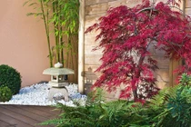 Đêm tân hôn chú rể đề nghị điều bất ngờ