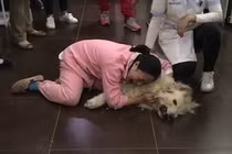 Cô gái khóc lóc thảm thiết vì boss bị hàng xóm đánh bả chết