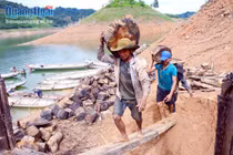 Cảnh lạ: Hồ “mọc” gỗ, dân đổ xô xuống cắt, kiếm 300 ngàn/ngày