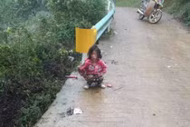 Kinh hoàng bé 8 tuổi bị chó cắn xé, lăn lộn trên đất