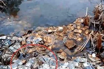 Chuyện lạ hôm nay: Câu cá, chàng trai giật bắn với thứ không ngờ