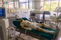 Hé lộ nhân thân kẻ khóa trái cửa thiêu sống cả gia đình người tình